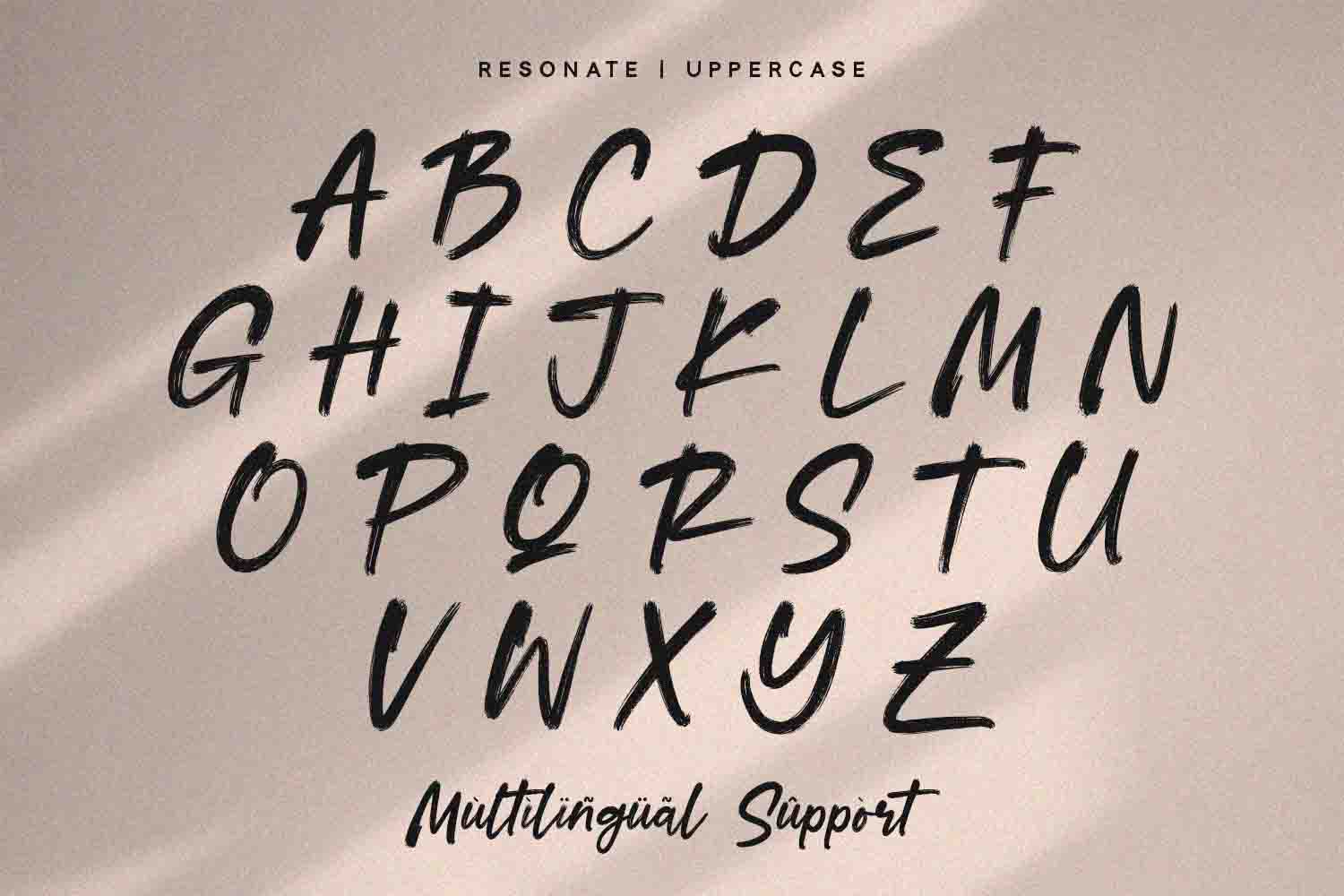 Resonate - Brush Script Font - Alpaprana Studio