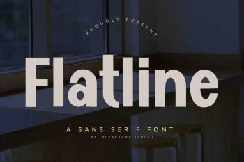 Flatline - Display Sans
