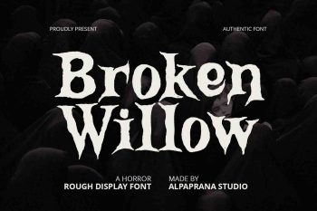 Broken Willow - Display Font