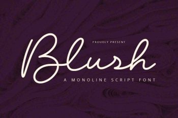 Blush - Script Font