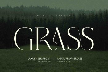Grass - Serif Font