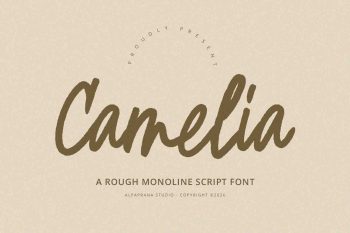Camelia - Script Font