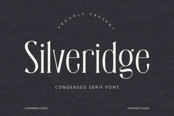 Silveridge - Serif Font