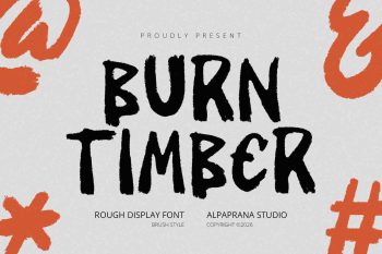 Burn Timber - Display